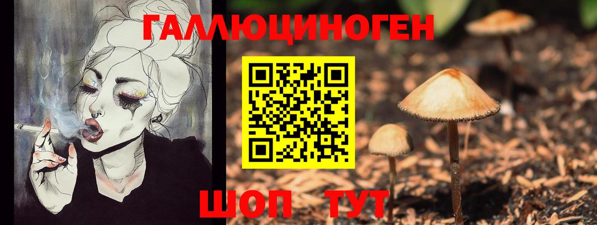 Псилоцибиновые грибы ЛСД Нижний Новгород