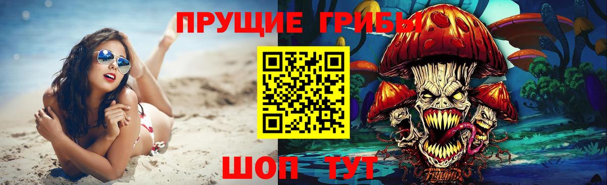 Галлюциногенные грибы Psilocybine cubensis  Вход с VPN  Нижний Новгород 